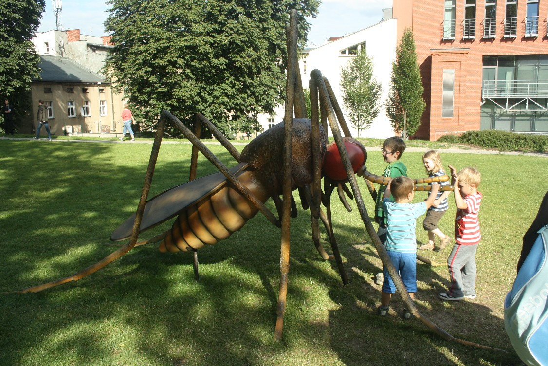 Giant insects in a park in Poznan.