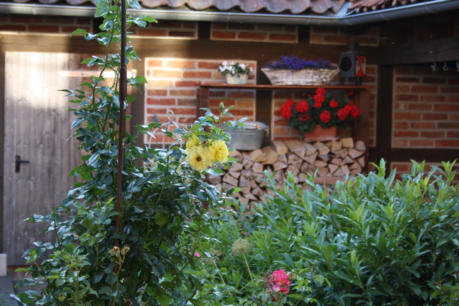 Just enjoying the piece of the small garden in my parents' summer house. 