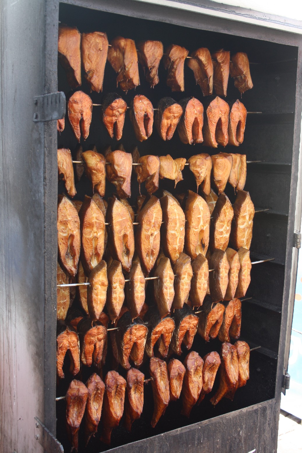 On the other side of the Warnow river frish fish is sold all day.