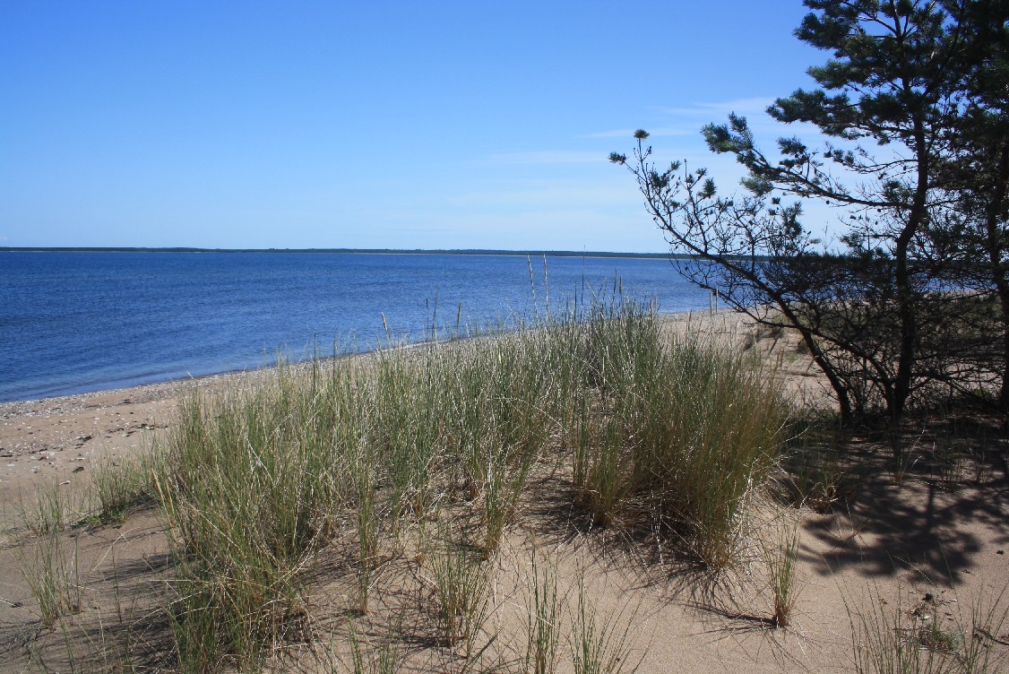 Der Strand von Harilaid im Nordwesten der Insel Saaremaa - ein Traum!