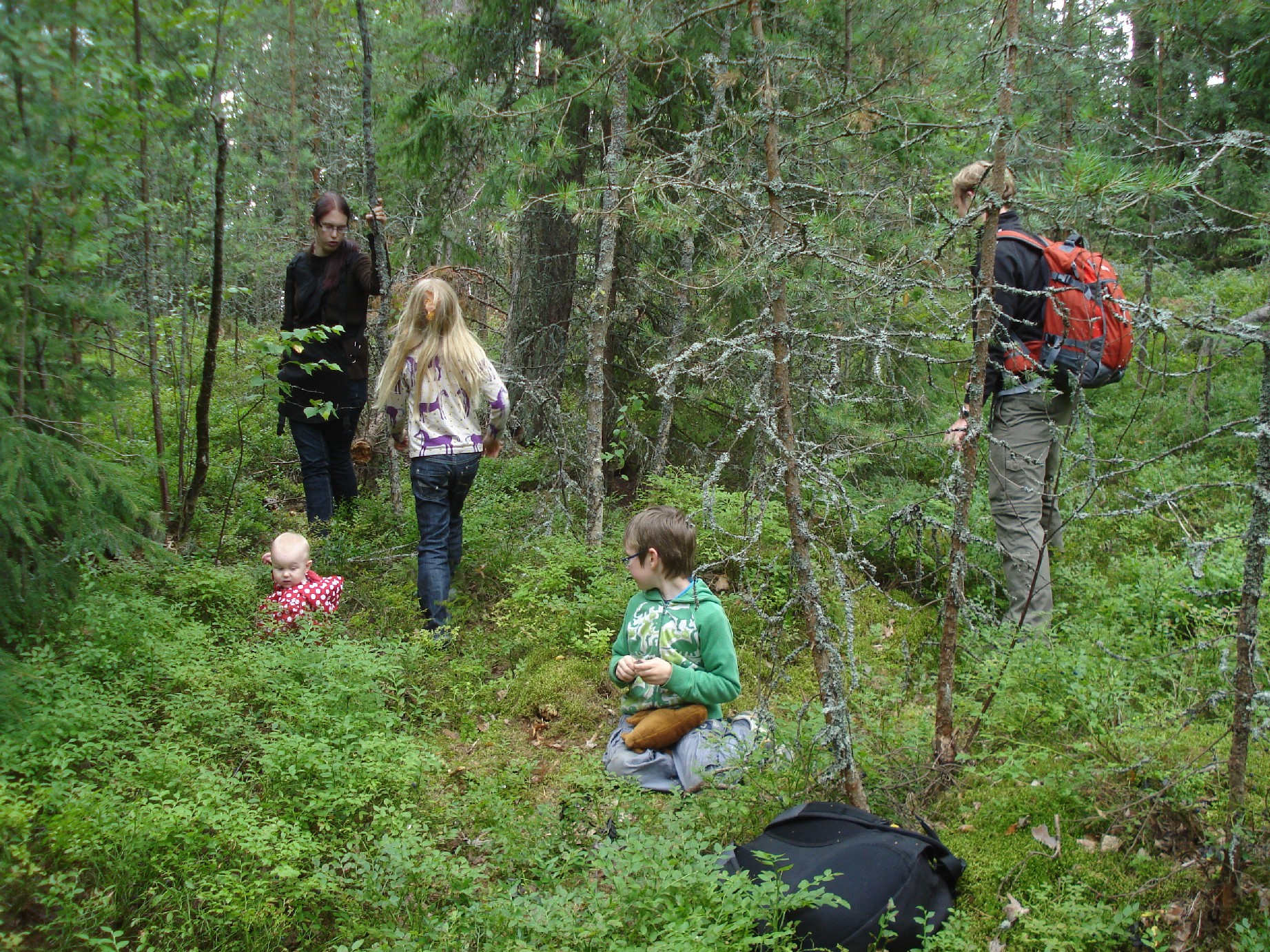 Bilberries everywhere! All of us had great fun picking them.
