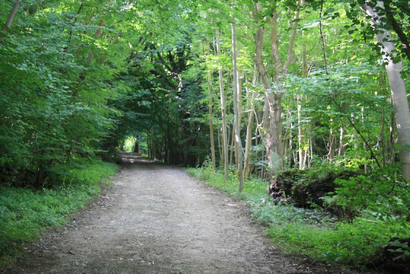 The way to our first youth hostel leads into the wood - on foot. 