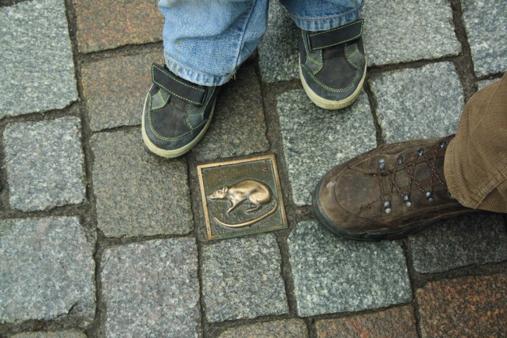 There a still quite a few rats left all over the town...