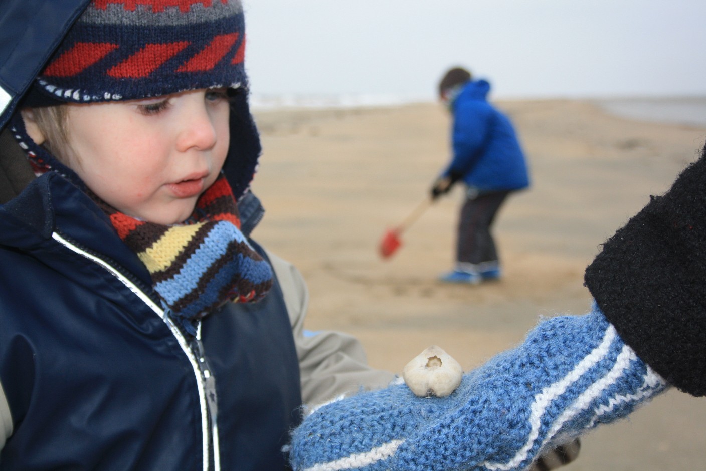 This time I showed things to my children like my mum showed me back then. (It's a sea urchin, by the way. And yes, I picked this picture because we didn't take any at the harbor.)