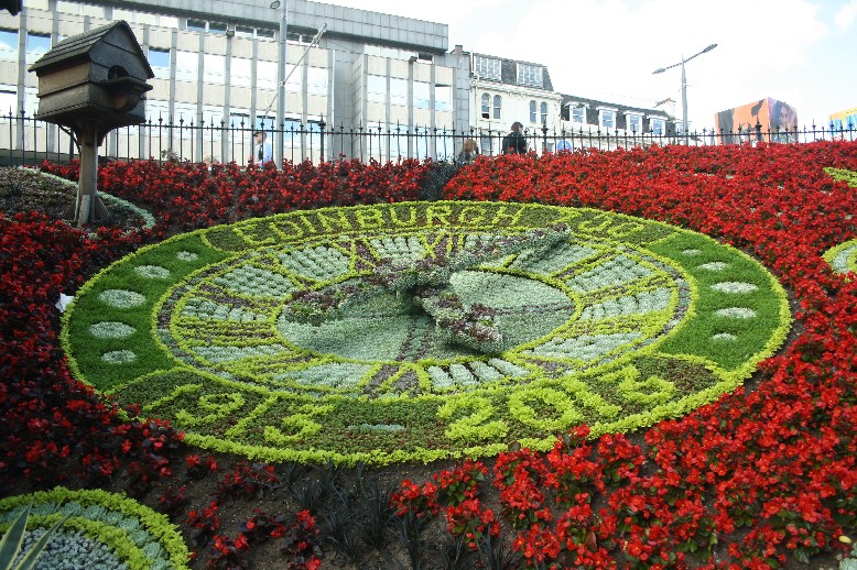 A working clock made of flowers.