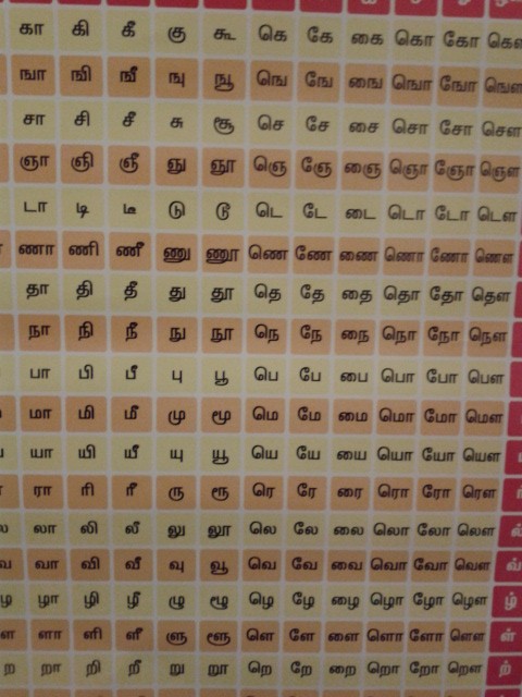 Exotisch Couchsurfen in Hamburg: Tamilische Schriftzeichen an der Wand unserer indischen Gastfamilie. (The Tamil alphabet in the children's room where we stayed at our courchsurfing hosts'.)