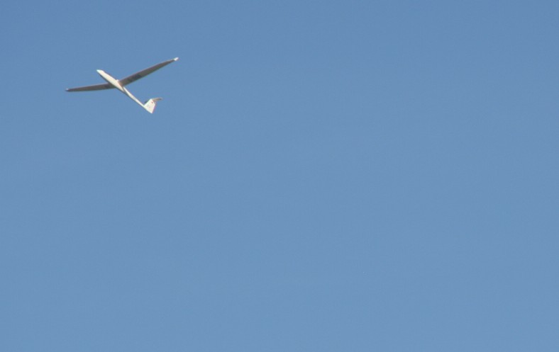 Am Flugplatz Rinteln lassen sich Segelflieger aus der Nähe betrachten. 