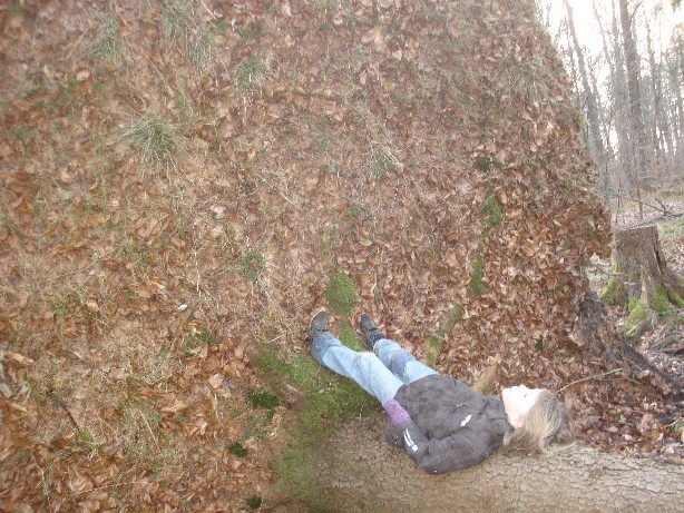 Mit etwas gutem Willen und ein bisschen Fantasie verwandelt sich jeder Wald mit Leichtigkeit in ein skurriles Märchenland. (A walk through the woods can easily turn into a great adventure. All you need is a bit of good will and a change of your point of view.)