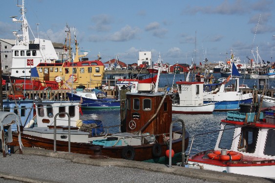 Der Fischerhafen von Hirtshals mit den vielen bunten Booten ist nicht weit vom Fährhafen entfernt. (The fishing harbour is not far from the ferry terminal.)