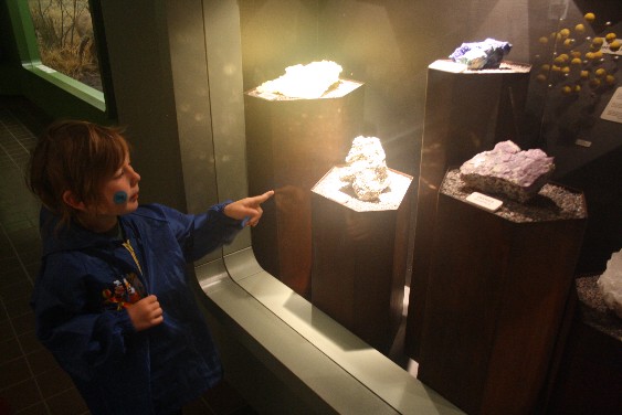 Im Naturkundemuseum gibt es jede Menge Schätze zu entdecken. (There are many treasures to discover in the natural history museum of Kristiansand.)
