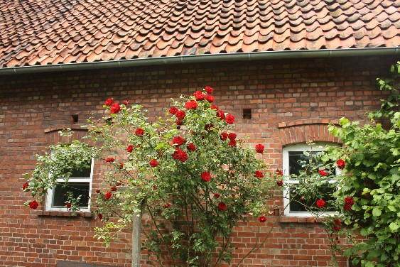 Schaumburg: rote Dachziegel, dazu Fachwerk oder Backstein und viel Idylle - diese Fassade gehört zu einem alten Hof in Lindhorst. 
