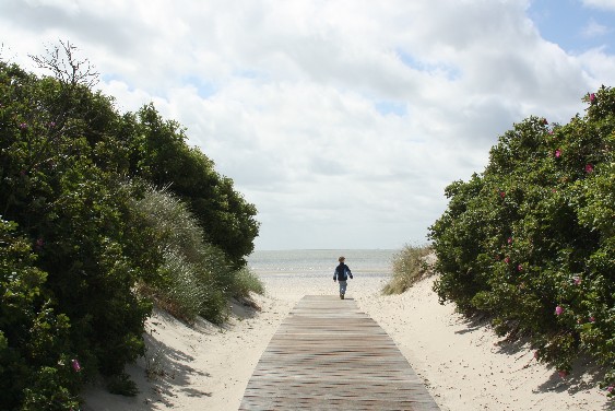 Familienurlaub in Deutschland: Nordsee, Föhr
