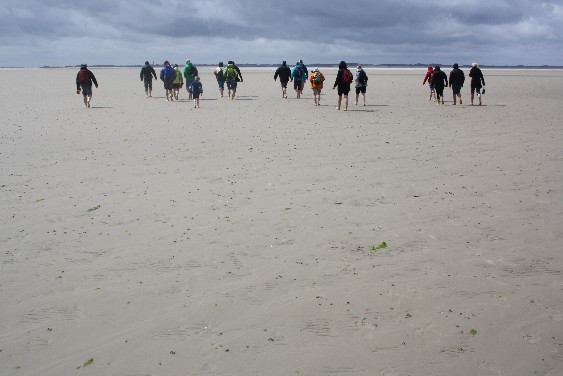 Eine Wattwanderung ist gerade mit Kindern unheimlich spannend und lehrreich und gehört an der Nordsee einfach dazu!