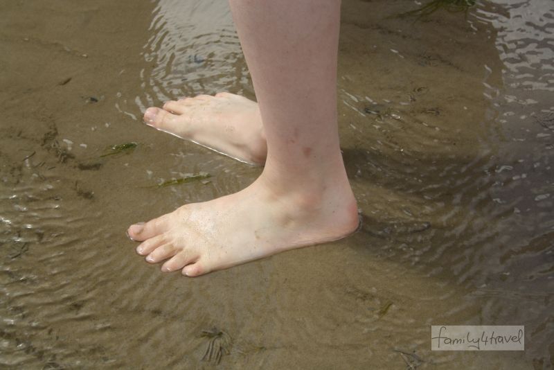 Im seichten Wasser und im Sand unter den Füßen wimmelt es von Leben. 