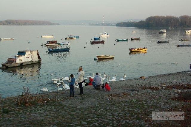 An der Donau im ruhigen Stadtteil Zemun ist Belgrad idyllisch.
