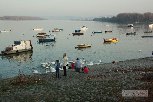 An der Donau im ruhigen Stadtteil Zemun ist Belgrad idyllisch. 