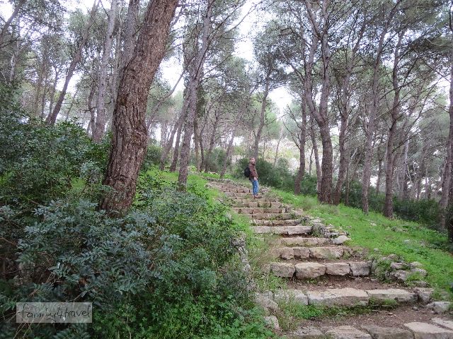 Der Weg durch das Naturschutzgebiet Porto Salveggio ist wildromantisch, und hier ein bisschen steil. Zum Glück gibt's die Treppe. 