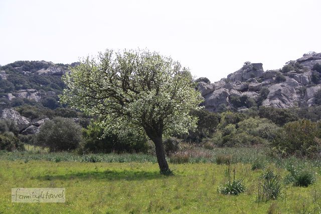 Im Südwesten ist es noch nicht allzu bergig, aber ohne Felsen geht es auf Korsika selten. 