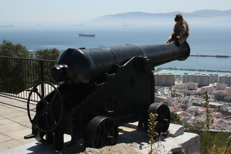 Gibraltar, Kanone mit Affen