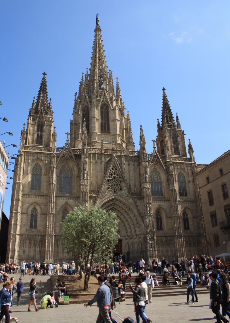 Reichlich Touristen gibt es an der Cathedral la Seu wohl zu jeder Jahreszeit gratis mit dazu. 