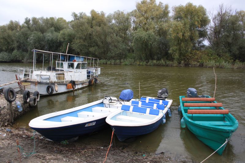 Das linke Boot ist "unseres". Hier beginnt unsere Ausflugsfahrt ins Donaudelta.