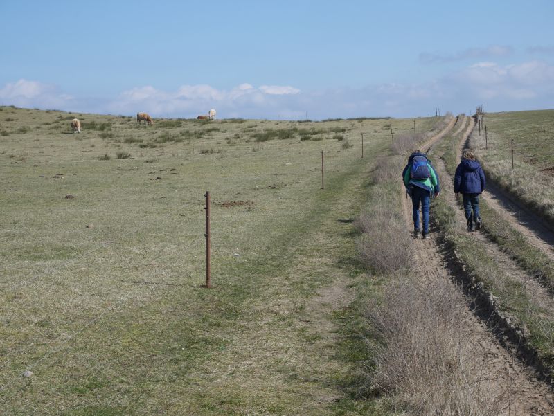 Hiddensee mit Kindern: Wandern im Dornbusch. 