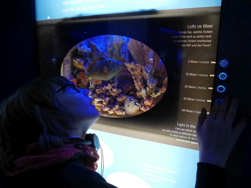 Wie im Meer, so herrscht auch in der Ausstellung Schummerlicht. Ein Exponat erklärt die Lichtverhältnisse unter Wasser. 
