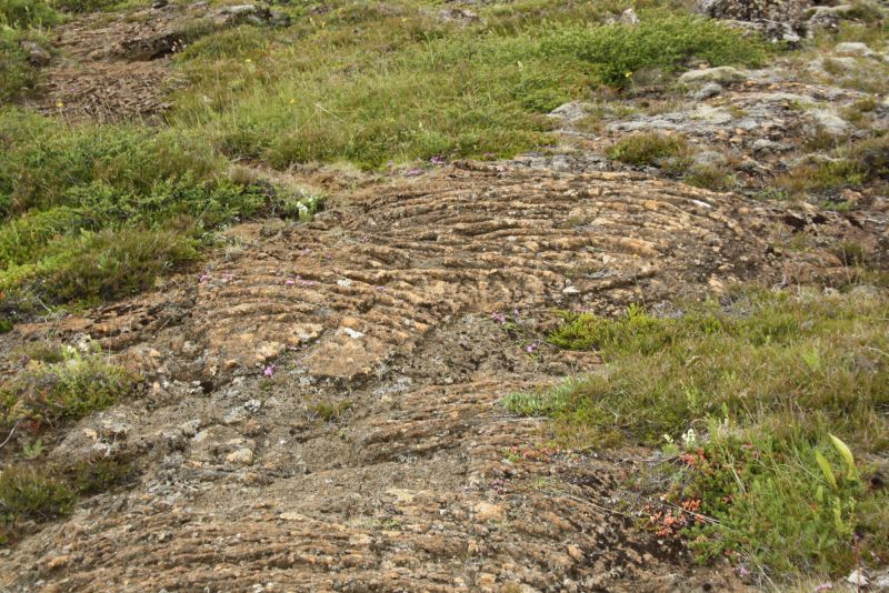 Erstarrte Lava, Thingvellir, Golden Circle, Island