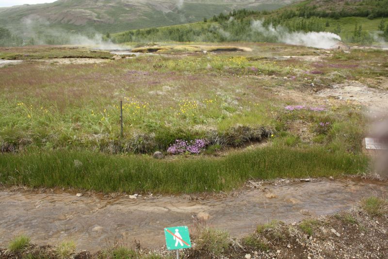 Thermalfeld am Geysir, Island, Golden Circle