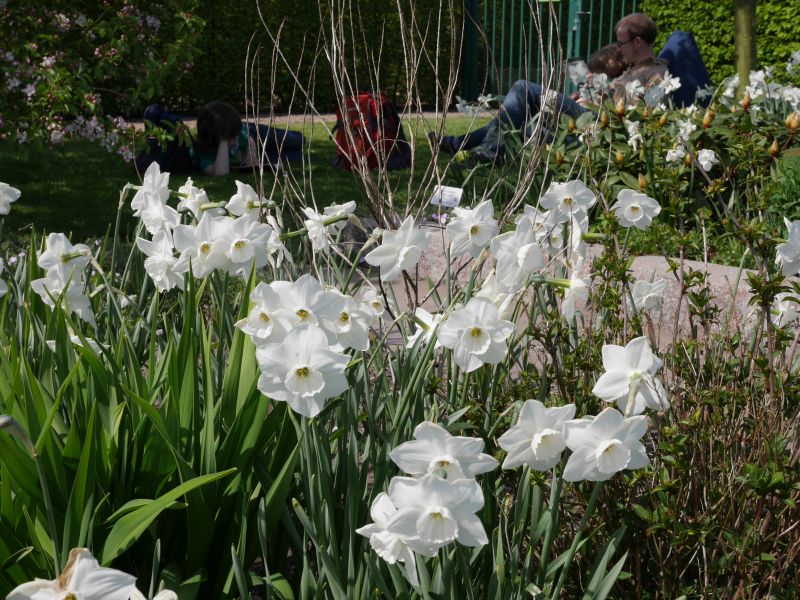 Mustergarten im Park der Gärten, Bad Zwischenahn.