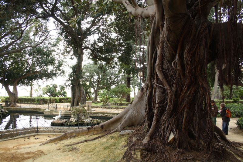 sizilien sciacca park feigenbaum