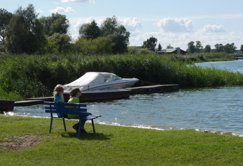 Neppermin auf Usedom am Achterwasser.