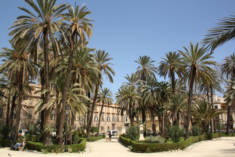 Palermo, Sizilien, Palmen