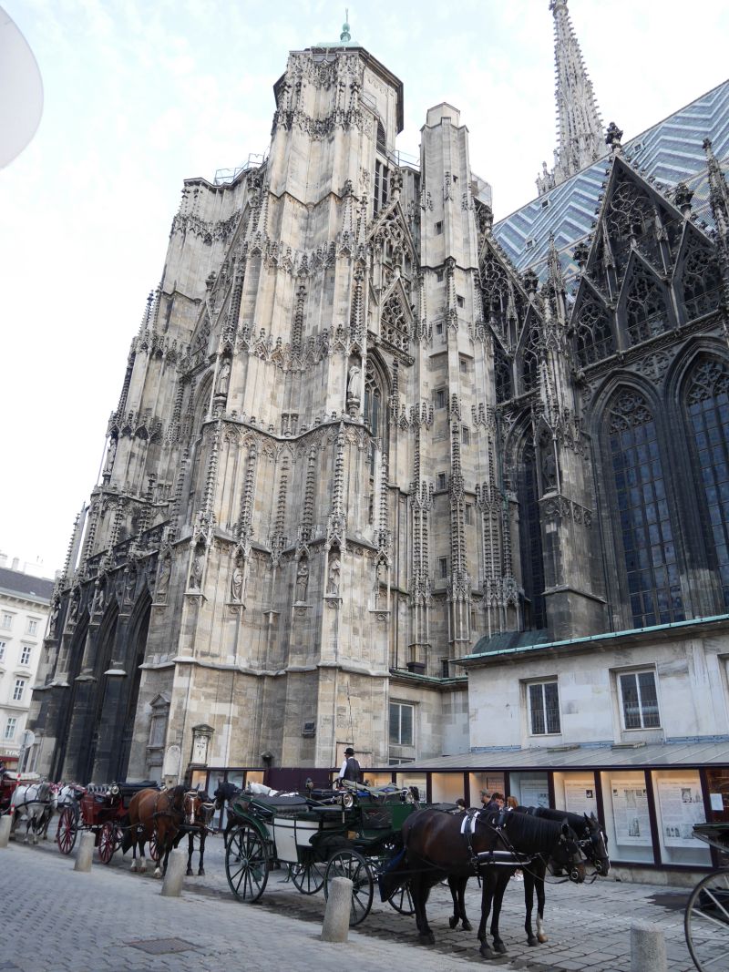 Wien mit Kindern, Stephansdom und Fiaker