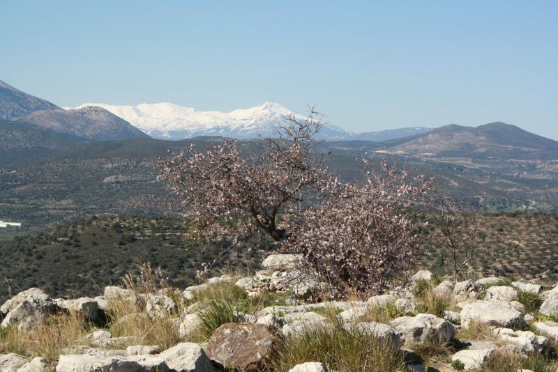 griechenland-peloponnes-mykene-im-februar-berge