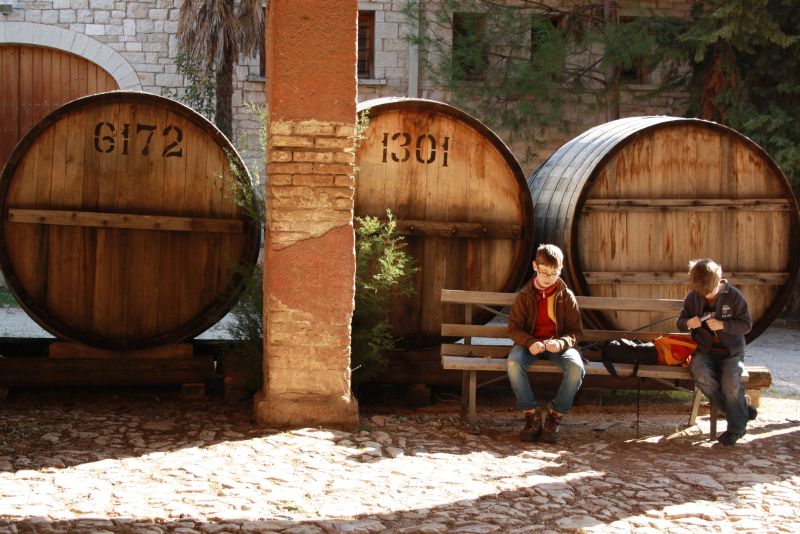 Weingut Achaia Clauss, Patras mit Kindern, Griechenland, Mavrodaphne