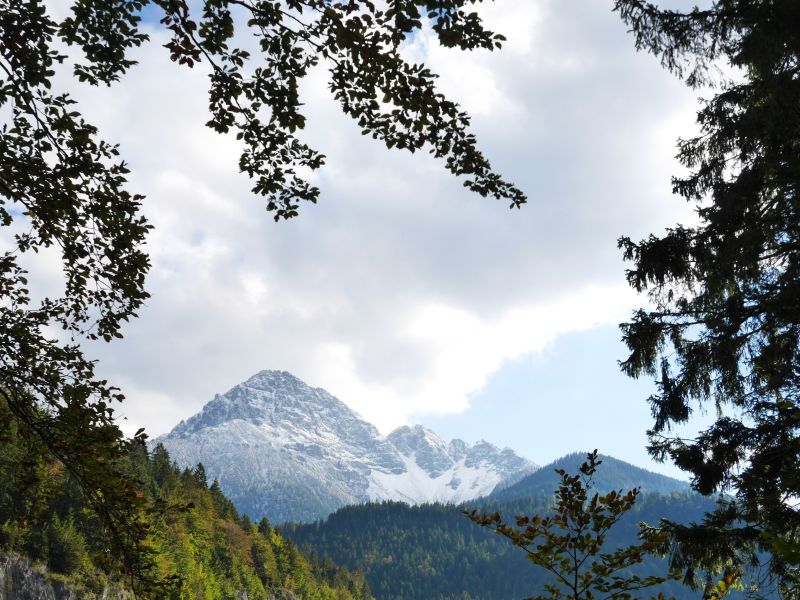 Aussicht an der Burgwelt Ehrenberg