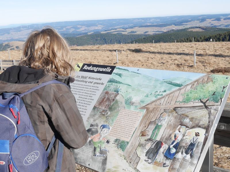 Familienurlaub im Schwarzwald, Feldberger Hof, Feldberg-Gipfel