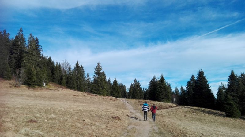 Familienurlaub im Schwarzwald, Feldberger Hof, Wandern mit Kindern