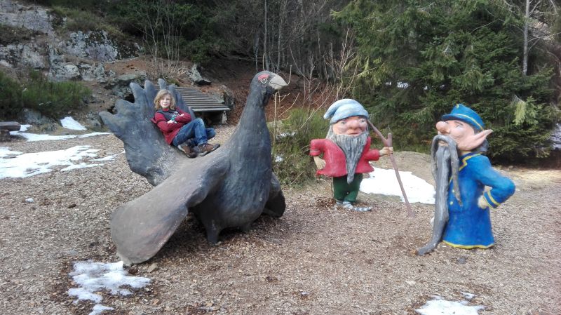 Familienurlaub im Schwarzwald, Feldberger Hof, Wandern mit Kindern, Wichtelpfad Auerhahn