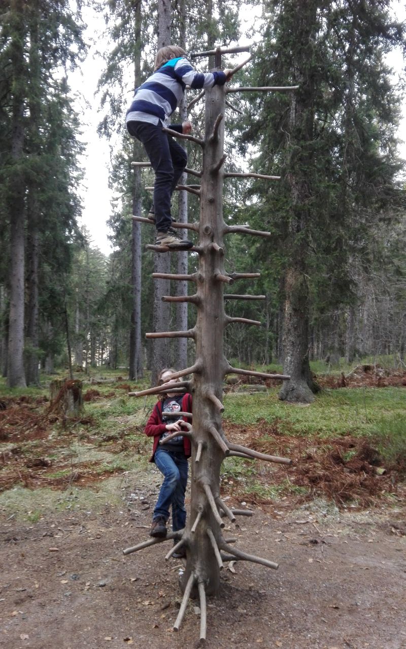 Familienurlaub im Schwarzwald, Feldberger Hof, Wandern mit Kindern, Wichtelpfad Klettern