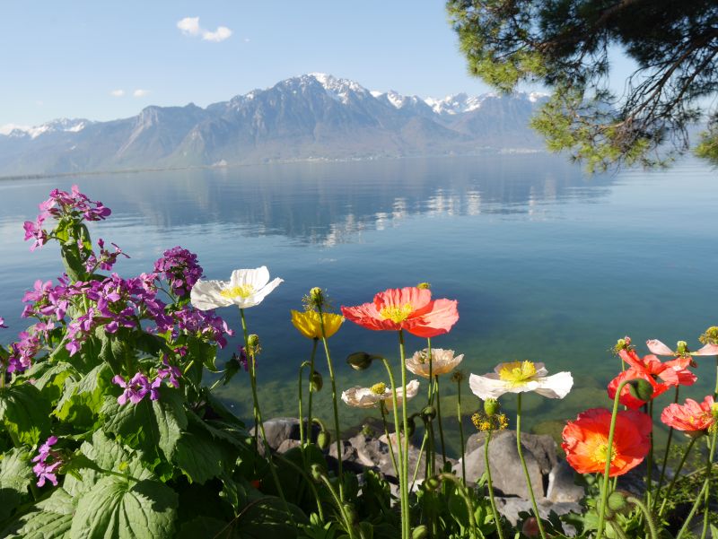 Backpacking mit Kind in der Schweiz, Montreux