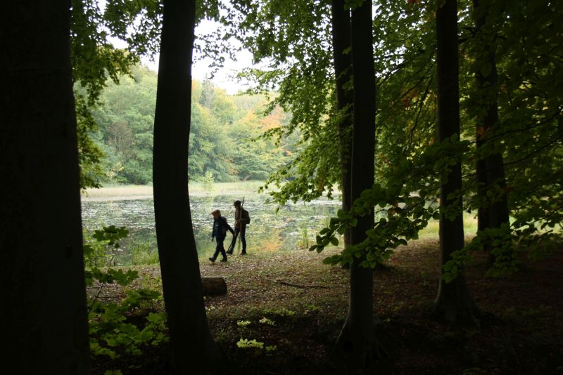 Bad Doberan Klosterteiche Wanderung