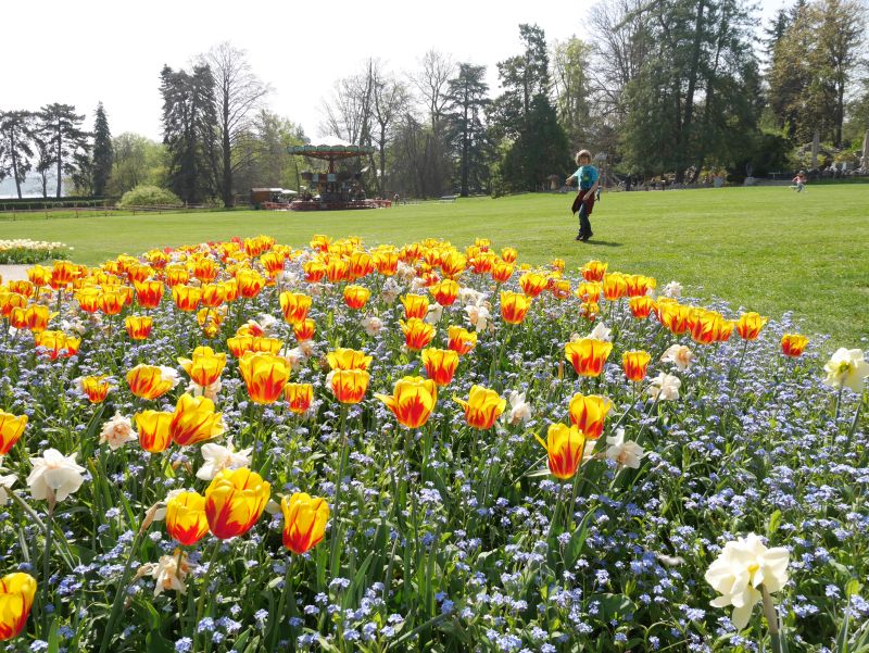 Genf mit Kind, Botanischer Garten, Kaurssell