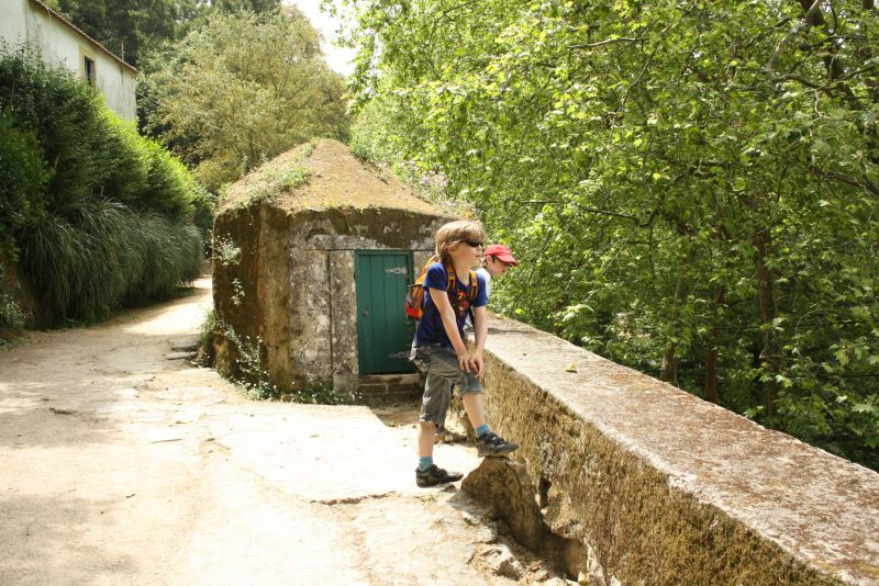 Sintra mit Kindern, ab ins Grüne