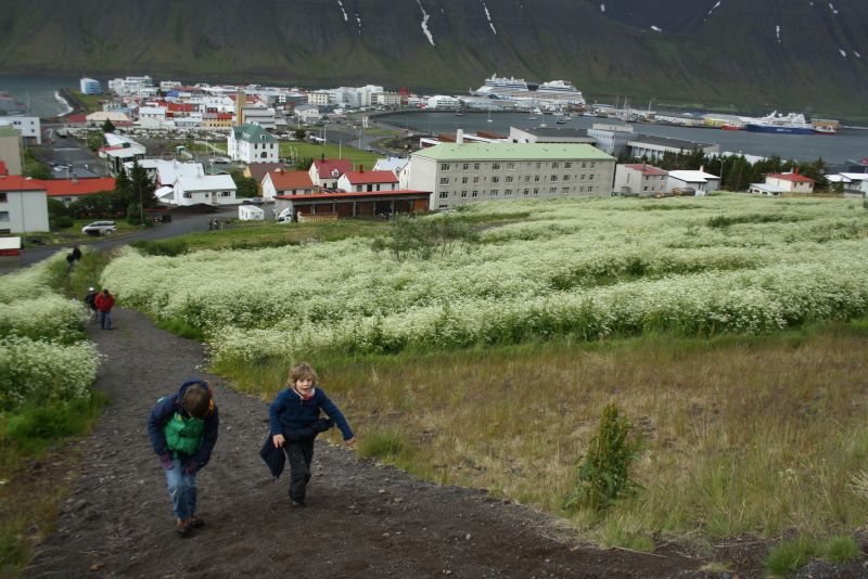 Isafjördur, Island, Wandern