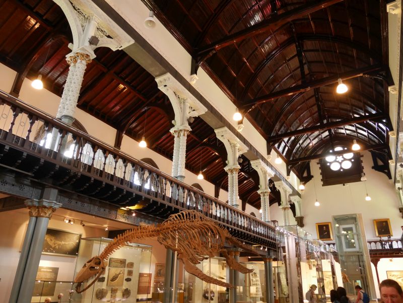 Tagesausflug nach Glasgow mit Kindern, Hunterian Museum