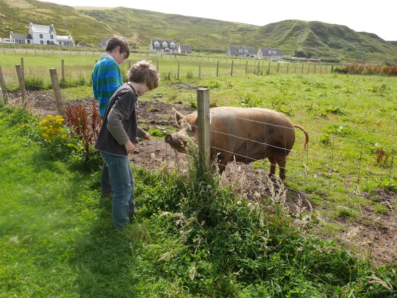 schottland-mit-kindern-kintyre-bellochantuy-strand farm walk