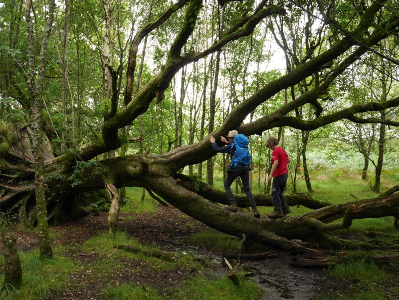 Wandern mit Kindern in Schottland