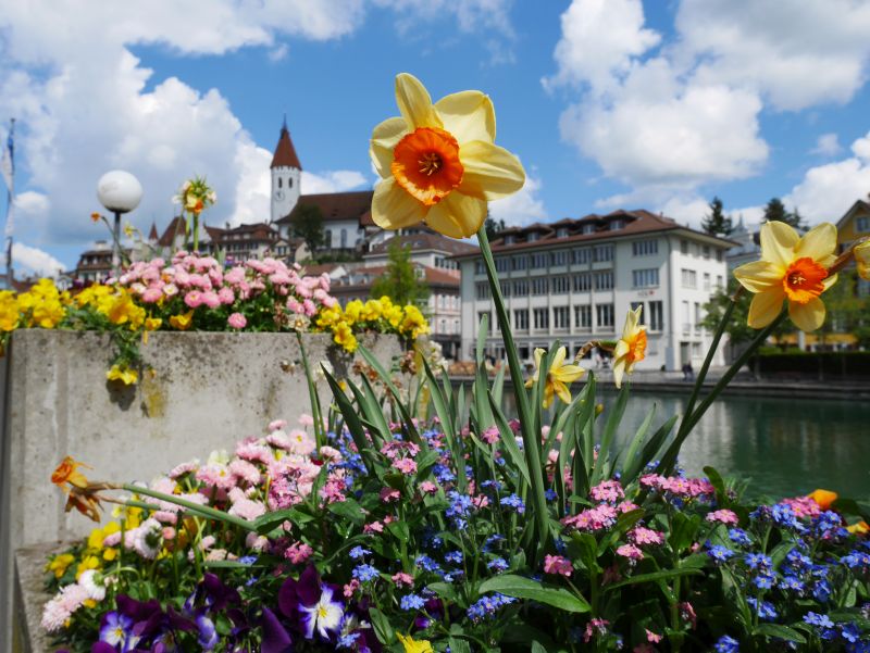 Tagesausflug nach Thun mit Kind im Frühling